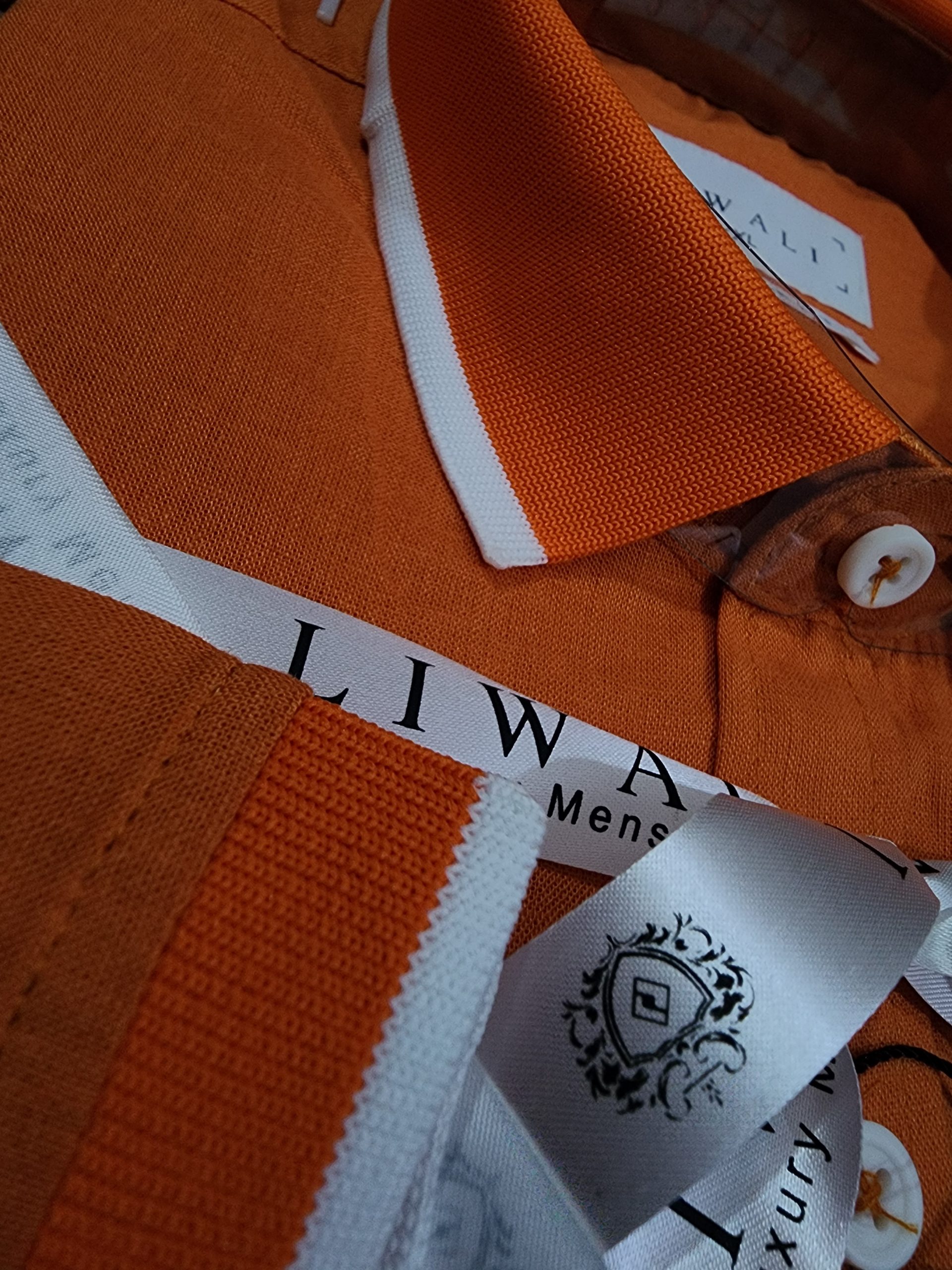 Premium Burnt Orange Rimi Cotton Half Sleeve Shirt - Image 4